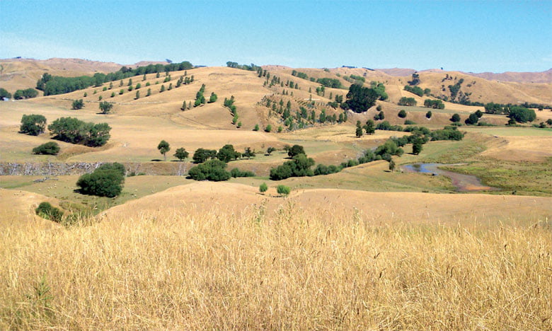 Collectivités Soulaliyates: Le gouvernement parachève le chantier de la réforme 1 5bc870996b774