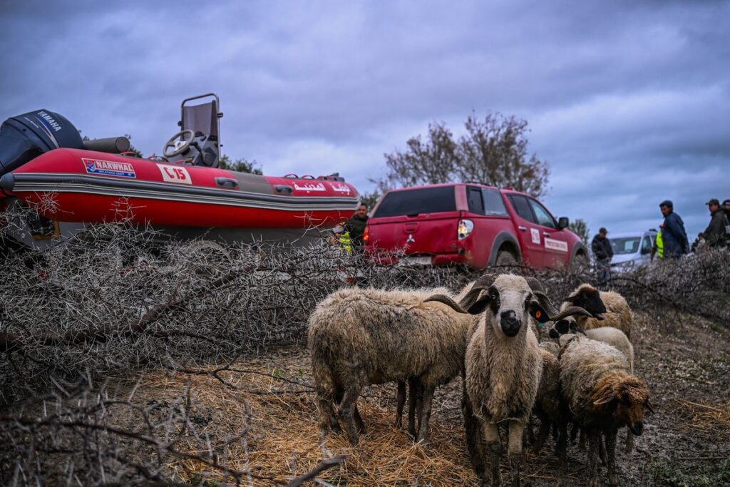 Ksar El Kebir2 large
