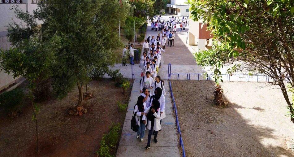 WhatsApp Image 2026 02 04 at 21.14.19 1 large