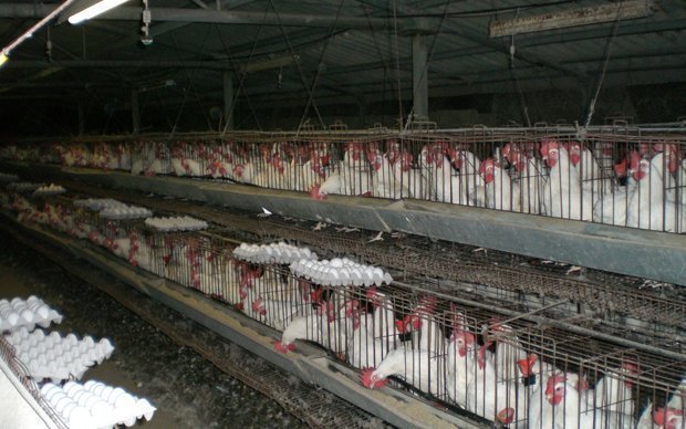 WhatsApp Image 2026 03 23 at 19.23.21 1