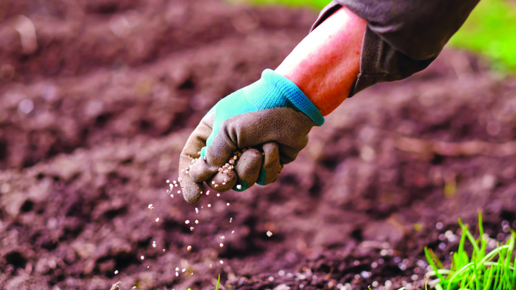 Engrais : OCP Nutricrops et Koch Ag & Energy Solutions créent une nouvelle joint-venture 1 OCP