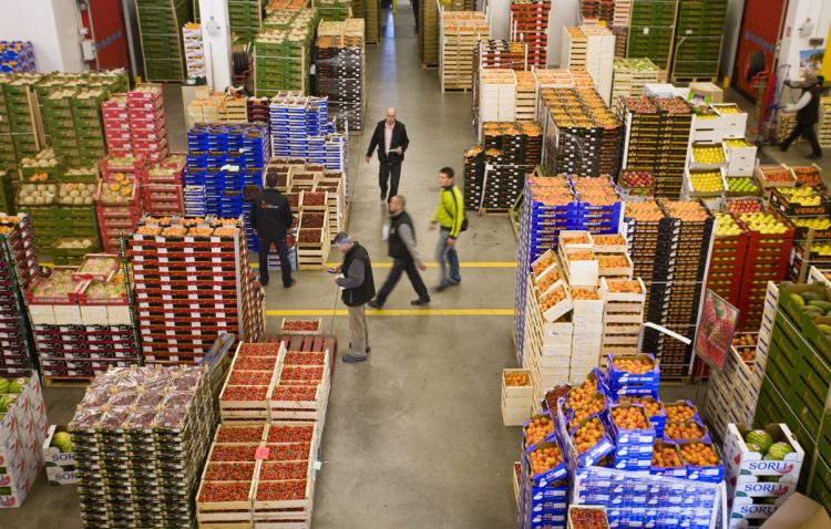 Agroalimentaire : Les exportations grimpent à 86,2 MMDH en 2025 1